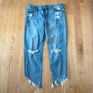 American Eagle Crop